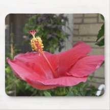 Beauté de jardin tapis de souris