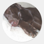 Beauté de sommeil adhésif rond
