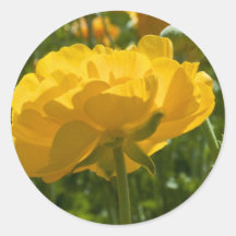Beauté jaune de natures adhésif rond