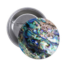 Beautiful abalone shell pins