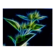 Beautiful Abstract Teal Lime Green Flower Art Post Card