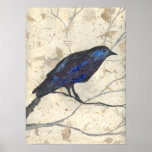 Beautiful and Mysterious Winter Raven Framed Print