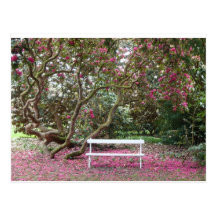 Beautiful and romantic spot in Ireland Post Card
