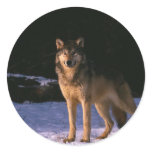 beautiful animals of the wild round sticker