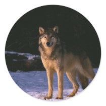 beautiful animals of the wild round sticker