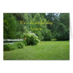 Beautiful April Fool Greeting Card