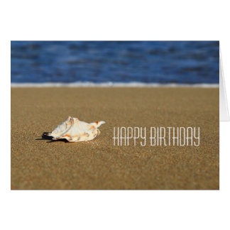 Seashell Birthday Cards Photocards Invitations More