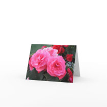 Beautiful Begonia - Card
