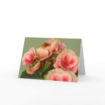 Beautiful Begonias cards