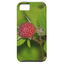 Beautiful Berries iPhone 5 Cover