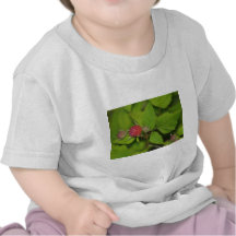 Beautiful Berries Tees