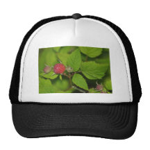 Beautiful Berries Trucker Hat