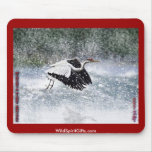 BEAUTIFUL BIRDS II Collection Mousepads