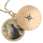 Beautiful Birds Necklace Locket