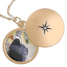 Beautiful Birds Necklace Locket