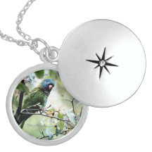 Beautiful Birds Necklace Locket