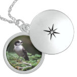 Beautiful Birds Necklace Locket