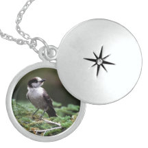 Beautiful Birds Necklace Locket