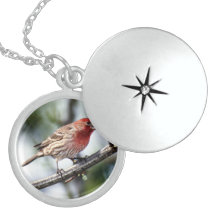Beautiful Birds Necklace Locket