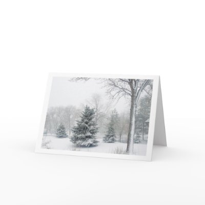 Beautiful Blizzard Greeting Cards by ZellaDesigns