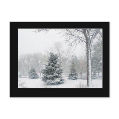 Beautiful Blizzard Postcard by ZellaDesigns
