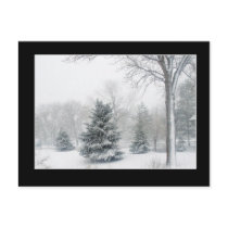 Beautiful Blizzard Postcard - Customized