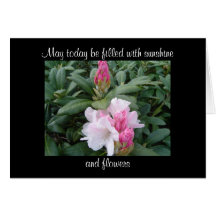 Beautiful Blooms Encouragement Flowers Greeting Cards
