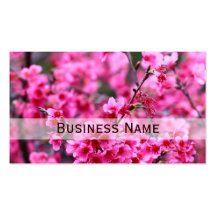 Beautiful Blossoming Sakura Flowers Business Card Template