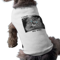 Beautiful Blue Eyed Kitty Dog T Shirt