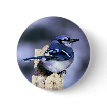 Beautiful Blue Jay Button