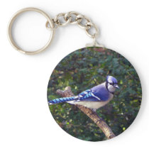 Beautiful Blue Jay Key Chain