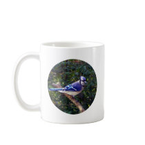 Beautiful Blue Jay Mug