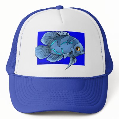 Beautiful Blue Tropical Oscar Fish by BirdsOfParadise