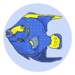 Beautiful Blue Tropical Parrot Fish