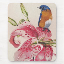 beautiful bluebird on a stargazer lily. mouse pads