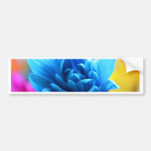 Beautiful Blues Bumper Stickers