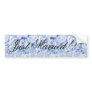 Beautiful Bride in Blue, Rose Bouquet, template Bumper Stickers