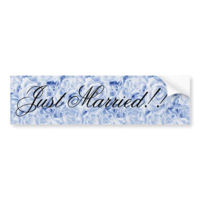Beautiful Bride in Blue, Rose Bouquet, template Bumper Stickers by JayneLogan