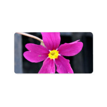 Beautiful Bright Pink Flower Address Labels
