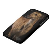 Beautiful Brindle iPhone 3 Cases