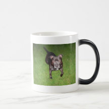 Beautiful bull-terrier coffee mug