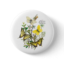 Beautiful Butterflies