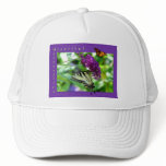 Beautiful Butterflies Hat
