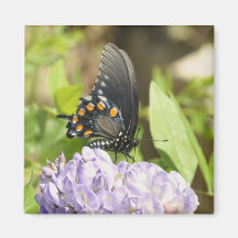 Beautiful Butterfly and Purple Flower Magnet