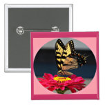 Beautiful Butterfly Button