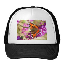 Beautiful Butterfly - Little Fox Butterfly Mesh Hats