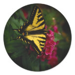 Beautiful Butterfly Photo Stickers 1