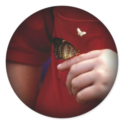 Beautiful Butterfly Photo Stickers 1 by mickeyelvis128