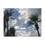 Beautiful California Sky Postcards