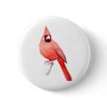 Beautiful Cardinal Pinback Button